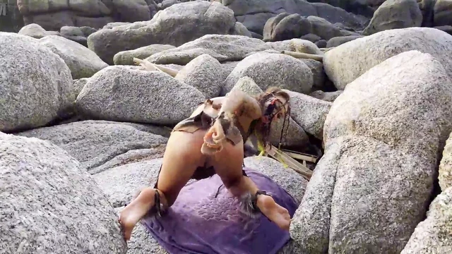 Kinky Amazon Loves Anal And Double Penetration With Big Toys Showing Big Asshole