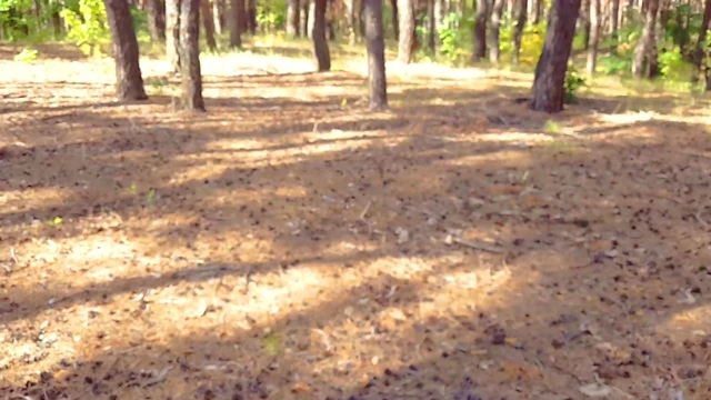 Shocked Watching Her Secretly Cum in Panties During Public Outing