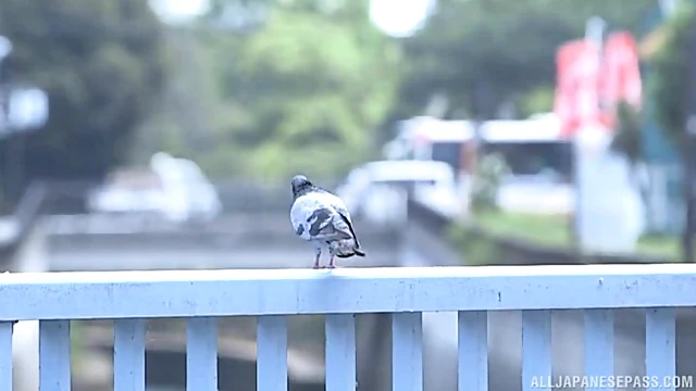 Drooling Over Big Japanese Tits And Pussy Ignites His Passionate Desire