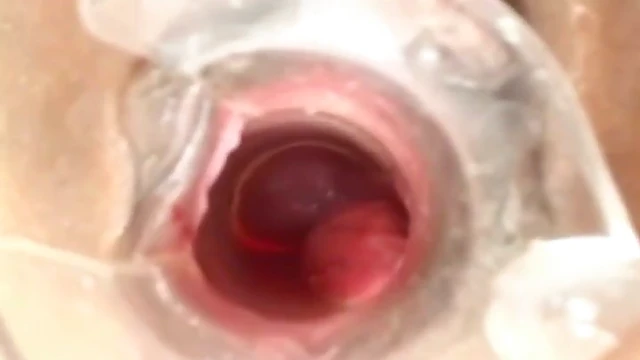 Seductive Asian Pleasure, Intimate Scenes Of Ecstasy