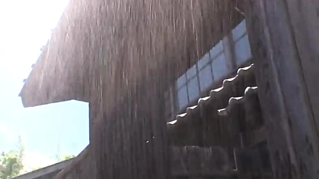 Drenched From Rain But Lusting For More She Craves Him Hard And Fast