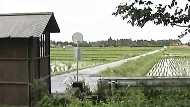 Hot Japanese Girl Enjoys Steamy Outdoor Fuck With Mature Partner