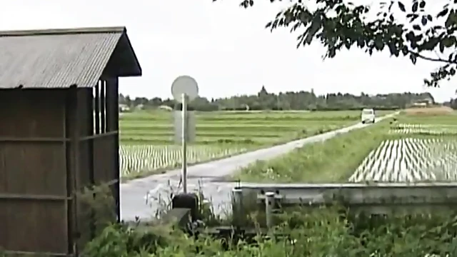 Hot Japanese Girl Enjoys Steamy Outdoor Fuck With Mature Partner