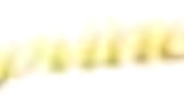 Hot Mature Japanese Woman Fucks Hard While Giving Blowjob Delight