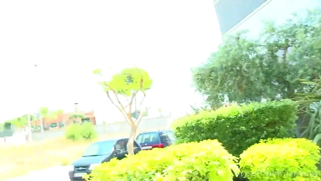 Amateur Nymph Enjoys Harmonious Sex Adventure Together