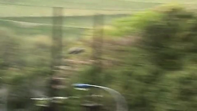 Sizzling Hot Japanese Hottie Gets Her Wet Cunt Pleasured Deeply