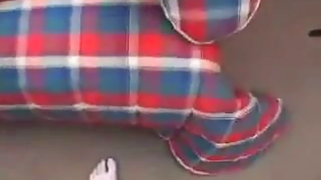 Skilled Slutty Milf Shows Awesome Blowjob Techniques Before Fucking