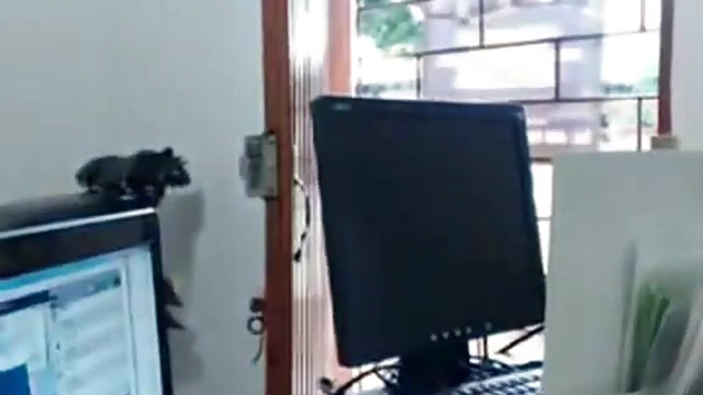 Seductive Office Girl Toys Her Pussy Until Wet With Desire