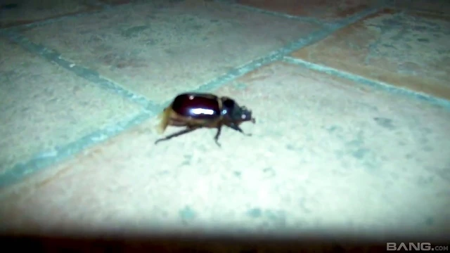 Amirah Adara Takes Multiple Cocks in Her First Steamy Gangbang Orgy