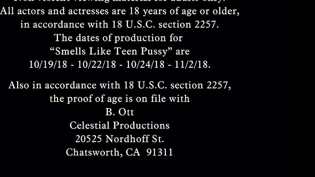 Slim-Chested Sofie Rey Gets Good Living Room Pussy Pounding Action