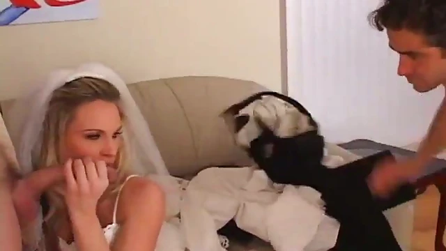 Beautiful Bride Cuckolds Cheating Husband During Wedding Night Desire