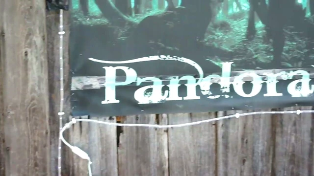 Sizzling Babes With Every Hair Color Get Rough Pussy Ramming Action