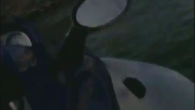 Beach Babes in Hot Bikinis Take Turns Giving Steamy Blowjob Sessions