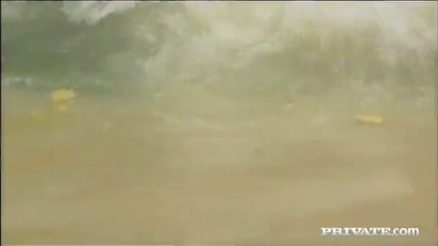 Park Picnic Turns Into Steamy Outdoor Orgy Adventure Under Trees