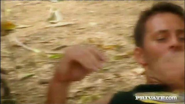 Park Picnic Turns Into Steamy Outdoor Orgy Adventure Under Trees