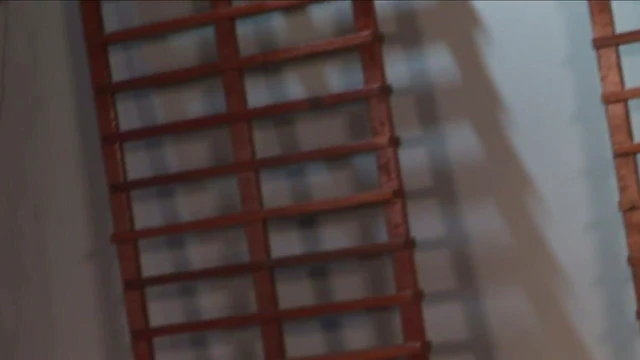 Girls Come Together in Hot All-Girl Orgy Party Night