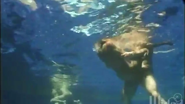 Hot Steel Girls Krystal & Sydnee Serve Up Seductive Poolside Rim Jobs and More!