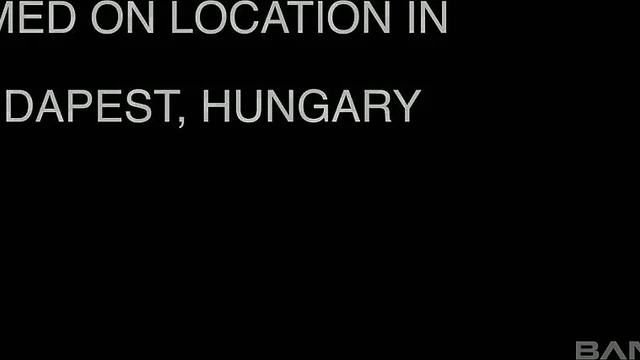 Seductive Alexis Crystal Takes Multiple Dicks For Her Juicy Pussy Delight