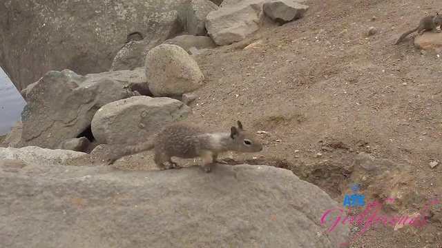 Slim Teen Summer Renee Gets Fucked Outdoors by POV Cam