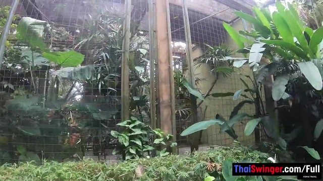 Sizzling Bubble Butt Thai Girlfriend Gets Licked & Fucked Hard