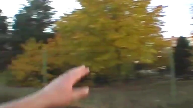 Sexy Lucy Provides Sensational Oral Pleasure Outdoors