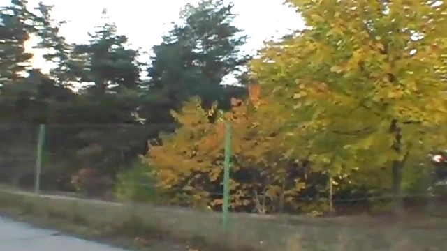 Sexy Lucy Provides Sensational Oral Pleasure Outdoors