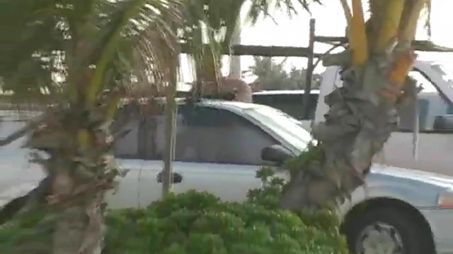 Sizzling Blonde Sunbathing Topless by the Ocean Waves