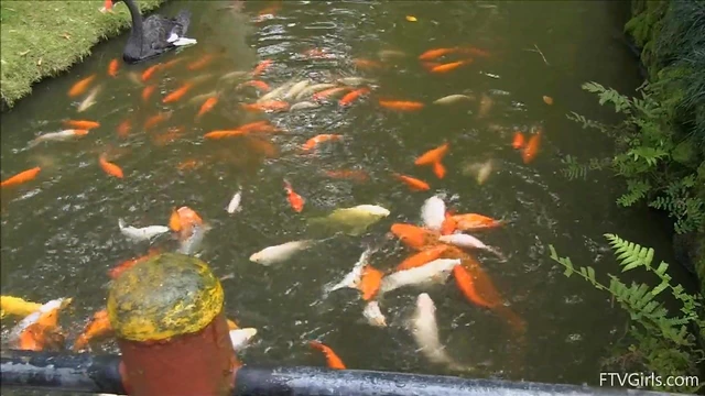 Travelling Duo: Nicole & Veronica Seduce Each Other With Teasing Touches