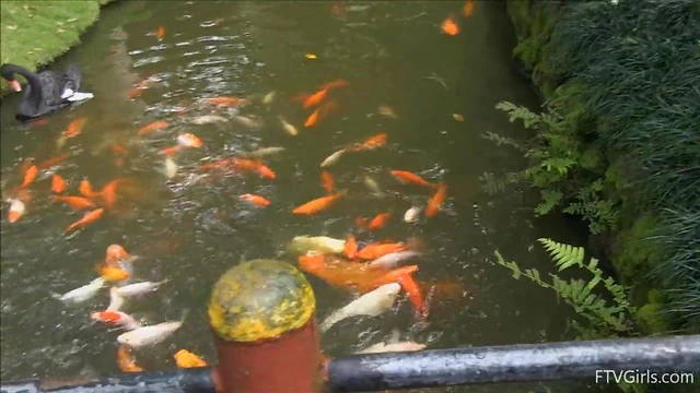 Travelling Duo: Nicole & Veronica Seduce Each Other With Teasing Touches