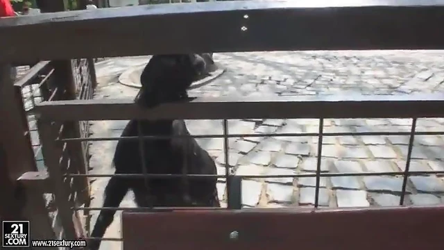 Kathia Nobili Flashes Her Ass Seductively at Zoo Visitors