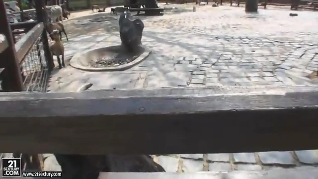 Kathia Nobili Flashes Her Ass Seductively at Zoo Visitors