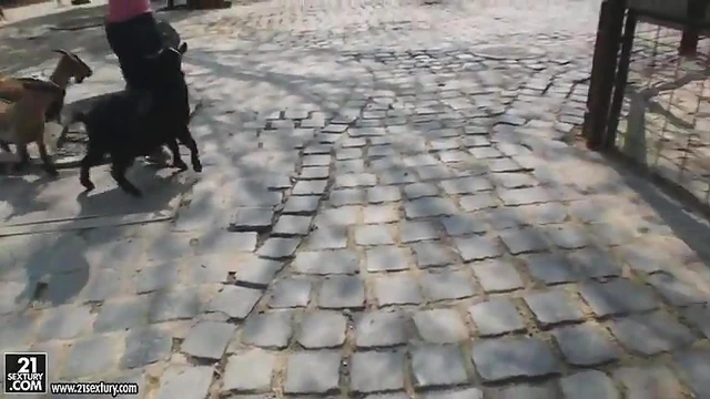 Kathia Nobili Flashes Her Ass Seductively at Zoo Visitors