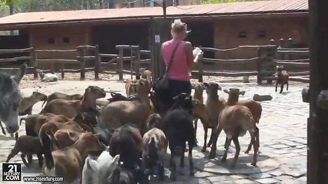 Kathia Nobili Flashes Her Ass Seductively at Zoo Visitors