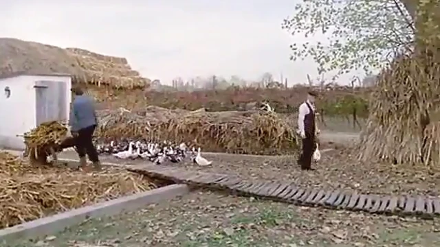 Blonde Beauty Kisses Handsome Roommate Passionately Before Going Further