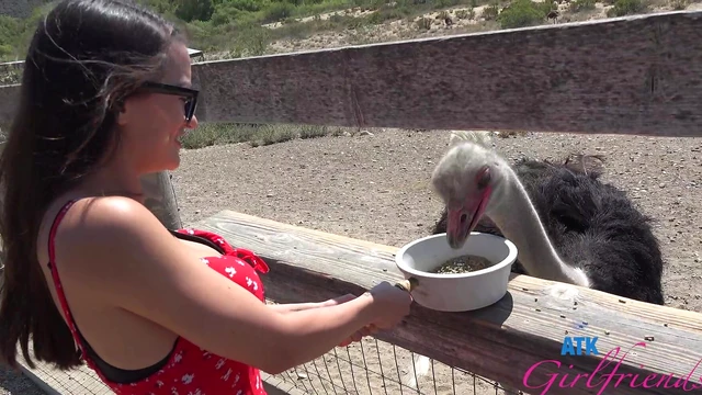 Summer Renee Gets Fucked Outdoors While Wearing Glasses - HD Action