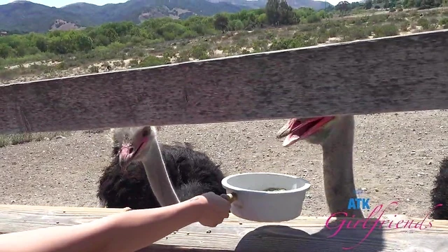 Summer Renee Gets Fucked Outdoors While Wearing Glasses - HD Action