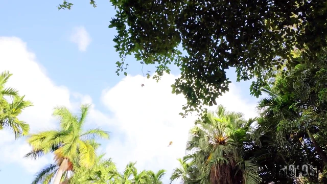 Neighbor Molly Gives Footjob then Rides His Hard Cock Deeply