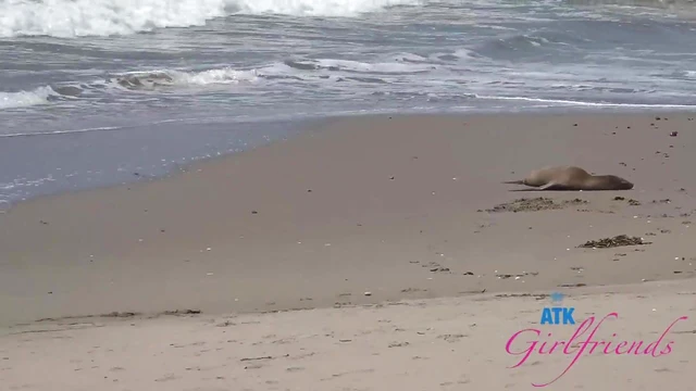 Seductive Ex-GF Mira Monroe Teases Outdoors Before Hot Car Sex