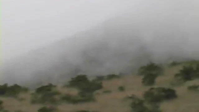 Sexy Blonde Showcases Seductive Skills by Stripping Her Thong Publicly