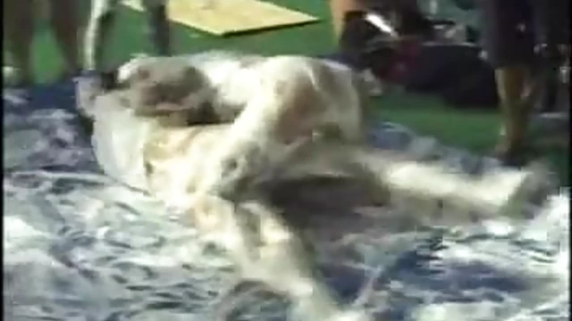 Hot Babes Show Off Their Sexy Tits Anywhere Excitingly Everywhere