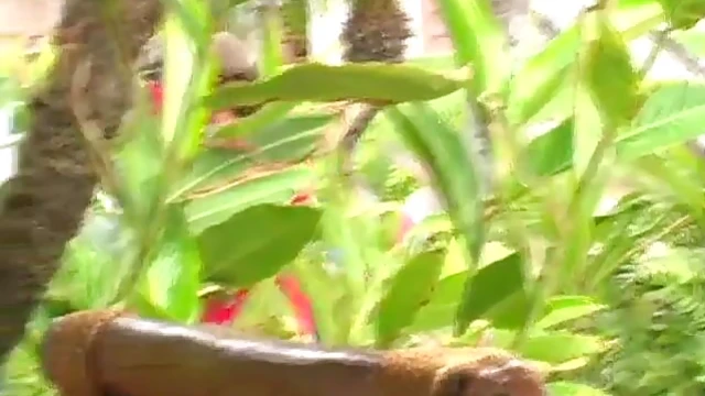 Sexy Blonde Alison Angel Enjoys Steamy Beach Adventure in Reality Porn Video