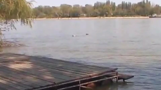 Szilvia's Tight Pussy Gets Licked & Stuffed by Hot Lover's Tongue