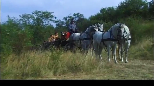 Sizzling Brunette Gives Wild Blowjob Outdoors Before Doggy Style Drilling Action