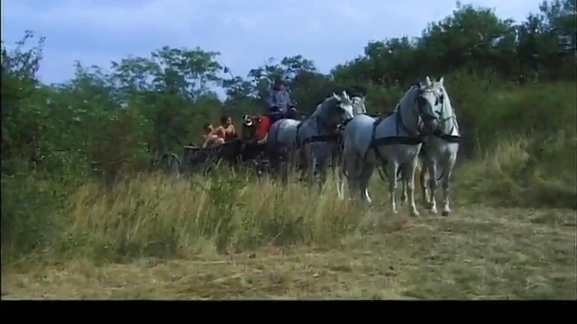 Sizzling Brunette Gives Wild Blowjob Outdoors Before Doggy Style Drilling Action