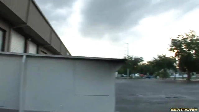 Beach Upskirt Flashes Her Shaved Pussy for Public Pleasure