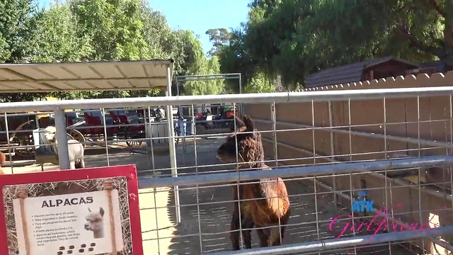 Amateur Kallie Takes It Outside With A Sloppy Blowjob Delight