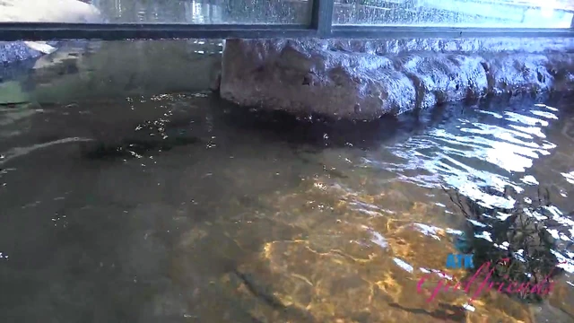 Adorable Summer Chick Enjoys Steamy Public Hookup with Hot Stranger