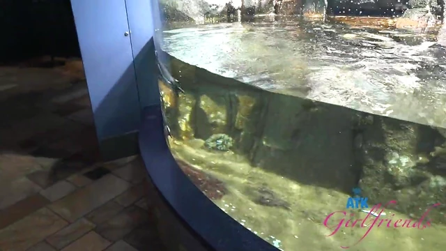 Adorable Summer Chick Enjoys Steamy Public Hookup with Hot Stranger