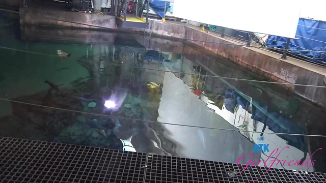 Adorable Summer Chick Enjoys Steamy Public Hookup with Hot Stranger