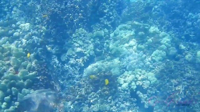 Passionate Sophia Leone Moans During Pleasurable Moments With Her Lover